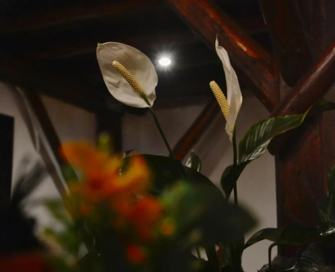 Hotel La Farola Cuenca