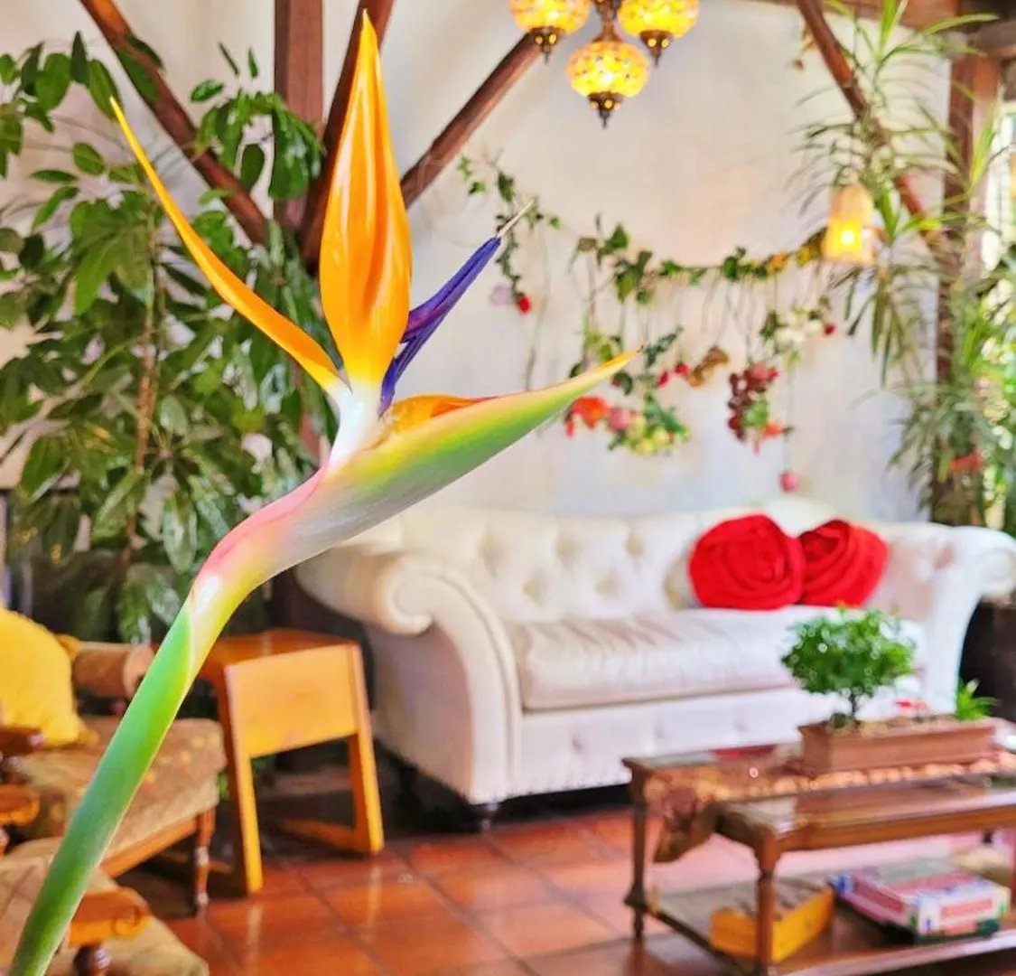 Hotel La Farola Cuenca Ecuador